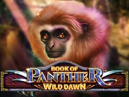 Book of Panther Wild Dawn